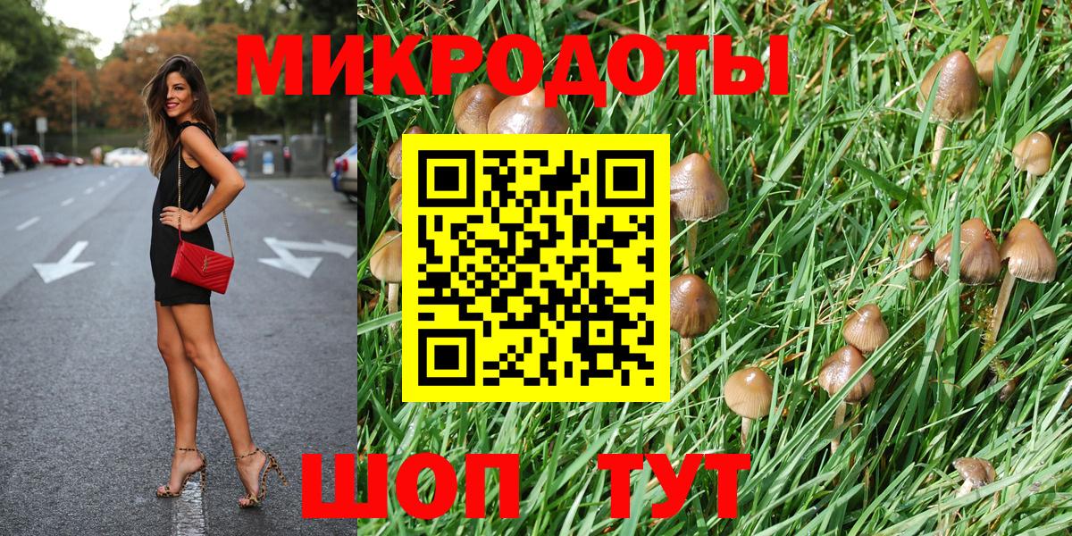 Краснокаменск  Галлюциногенные грибы Psilocybine cubensis  Вход с VPN 
