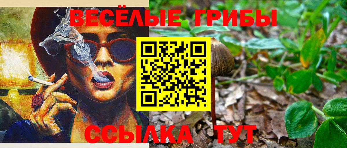 Псилоцибиновые грибы Cubensis Краснокаменск